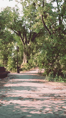 Paths in the Park zone