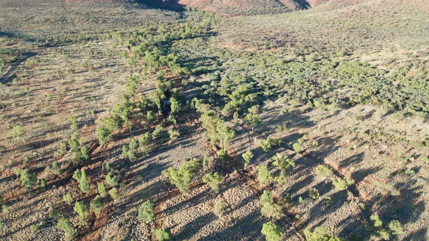 Aerial view along King