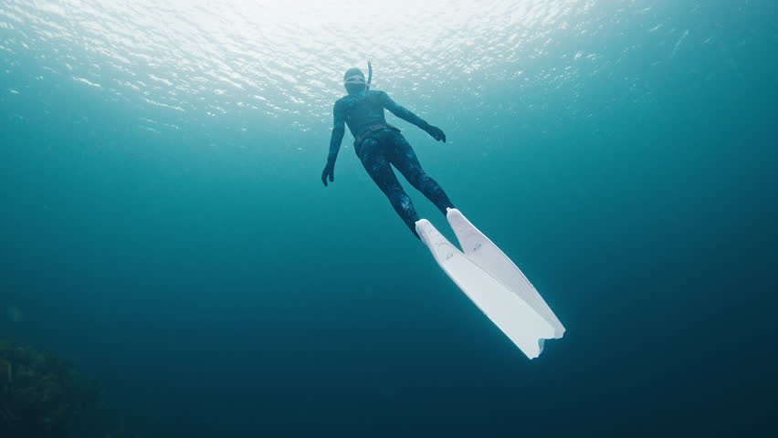 Arctic freediving. Woman freediver in blue wetsuit dives underwater in the cold sea among the seaweed. Barents Sea freediving in Arctic region