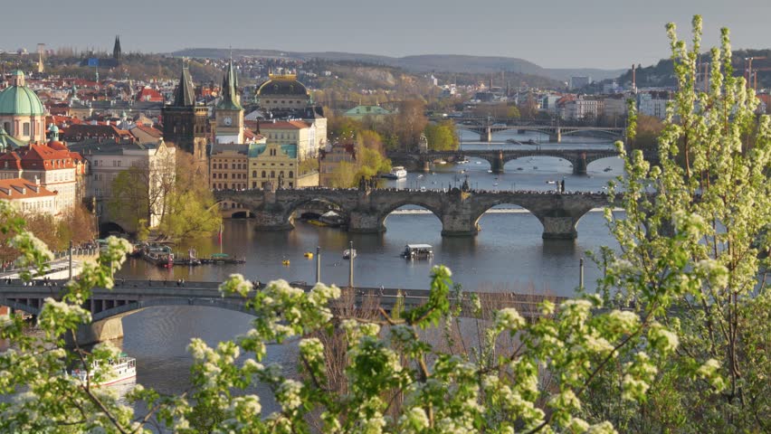 Scenic view of Charles Bridge and Vltava River in Prague during spring with blooming flowers and vibrant city life. Panoramic shot of Prague city center, Czech Republic 
