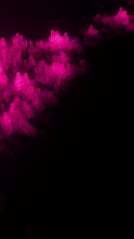 Shutterstock Video