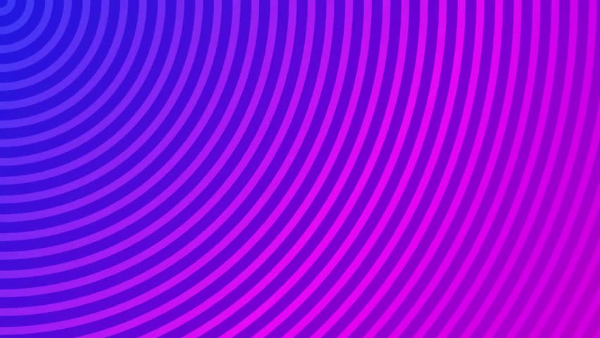 Shutterstock Video