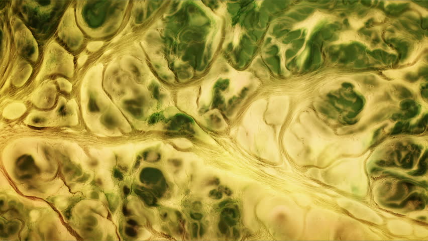 Abstract Ink Paint Diffusion Paradox Illusion and Chemical Shapes