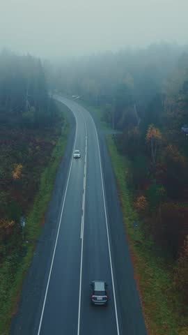 Two cars navigate a winding road in a foggy landscape. The atmosphere is serene with lush trees lining the route, creating a tranquil driving experience.