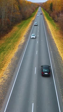 Cars travel along a highway surrounded by trees displaying vibrant autumn foliage. The road is lined with fallen leaves in a rural setting, evoking a peaceful drive.