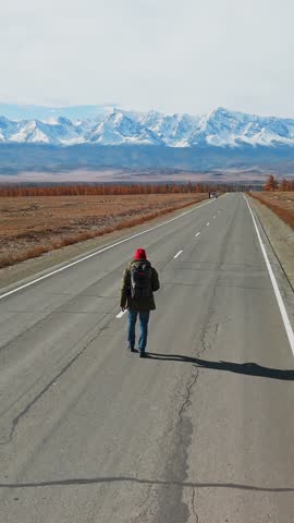 A person walks alone down a long, empty road surrounded by stunning snow-capped mountains and open plains. The tranquility of nature provides a serene backdrop for this journey.