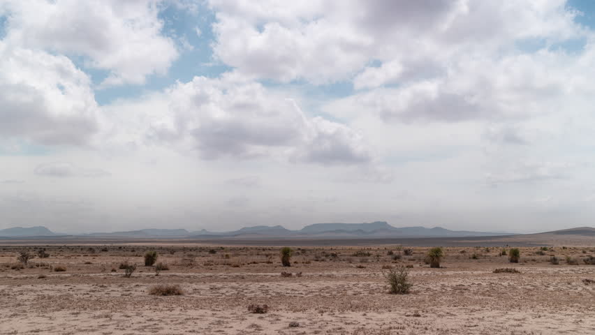 Cloudscape Timelapse in the west Texas desert near Big Bend, Dust Devils and Yucca plants in hot arid Chihuahuan landscape