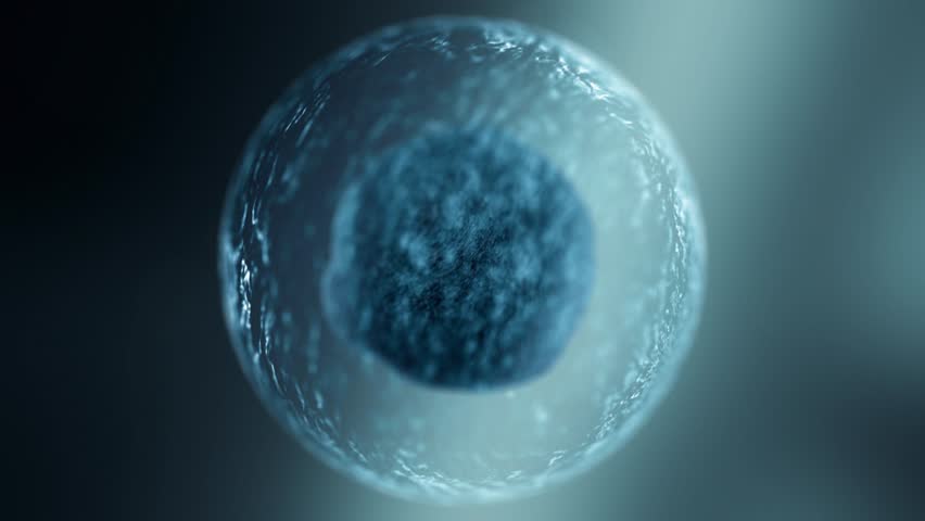 Single Cell Macro VFX – Medical Visualization
