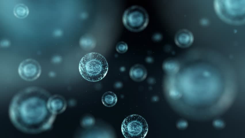 Cell Division Process - Medical Visualization