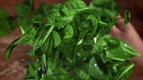 The chef tosses spinach in a saucepan. Filmed on a high-speed camera at 1000 fps. High quality FullHD footage - Powered by Shutterstock - Get 15% off with code: PIKWIZARD15