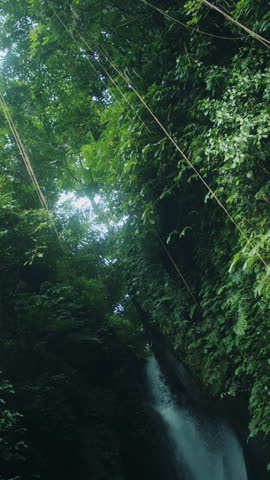 Tall waterfall flowing through jungle canyon