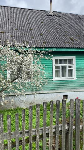 quaint green house with blooming tree