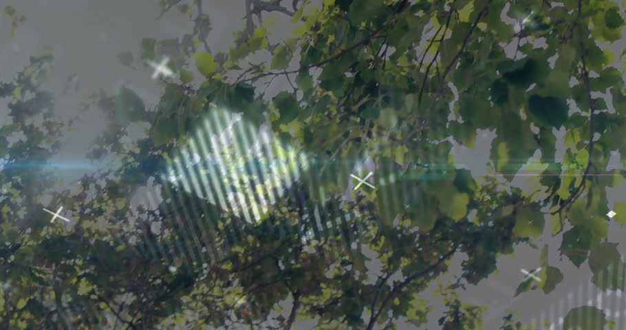 White polyline graph overlaying tree canopy featuring plus icons transparent world map wireframe. Nature, data visualization, abstract, technology, landscape, innovation, connectivity