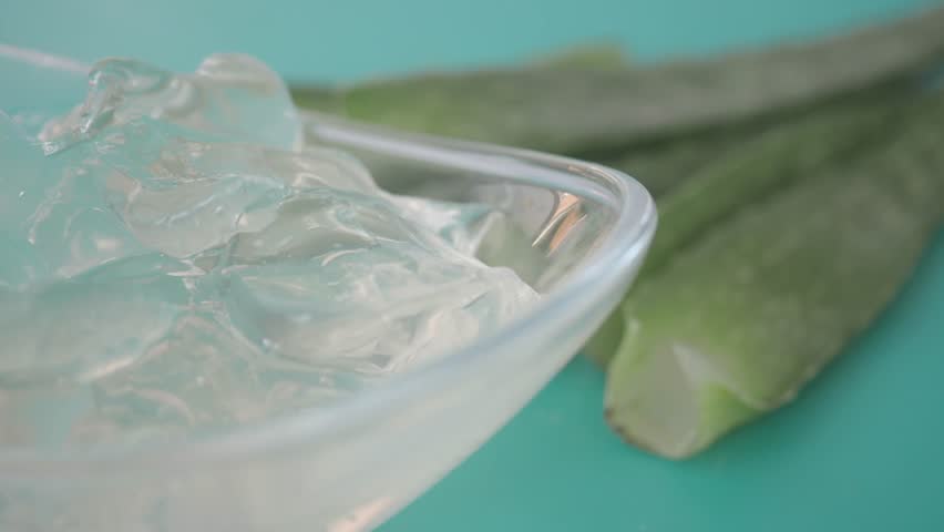 Fresh aloe vera sliced and liquid gel in plastic container on white background 