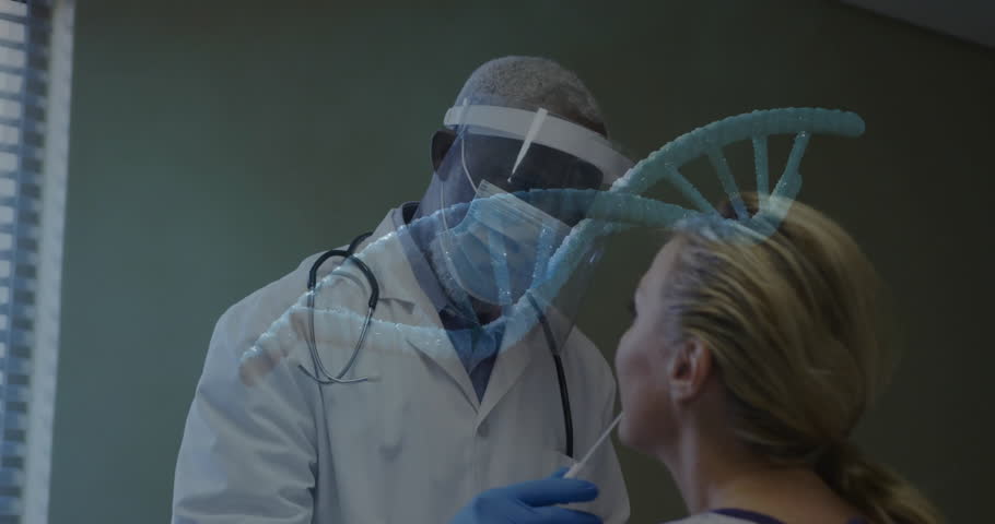Shutterstock Video