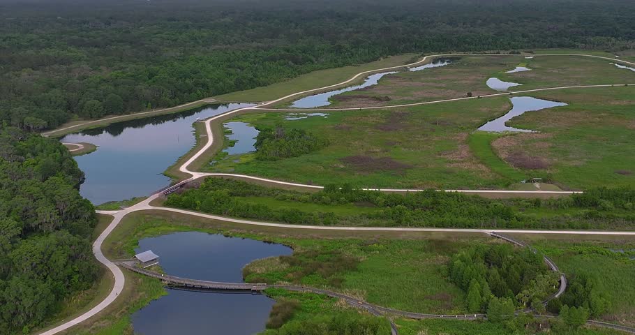 Sunny Day at Sweetwater Wetlands (Payne