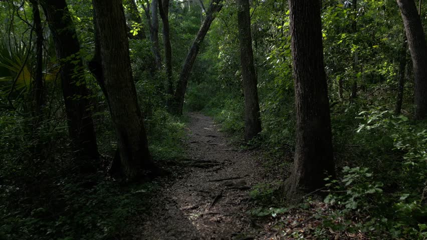 Views at Bivens Arm Park