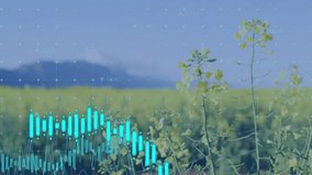 Yellow rapeseed field merging with transparent data grid, showing line graphs and timecodes. Agriculture, data visualization, innovation, technology, rural, productivity, analysis - Powered by Shutterstock - Get 15% off with code: PIKWIZARD15