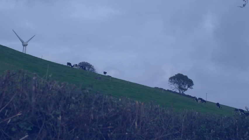 wind turbine silhouette rotating on hill while line graphs, candlestick and numeric labels floating. Renewable, energy, sustainability, technology, finance, digital, innovation - Powered by Shutterstock - Get 15% off with code: PIKWIZARD15