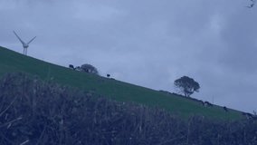 wind turbine silhouette rotating on hill while line graphs, candlestick and numeric labels floating. Renewable, energy, sustainability, technology, finance, digital, innovation - Powered by Shutterstock - Get 15% off with code: PIKWIZARD15
