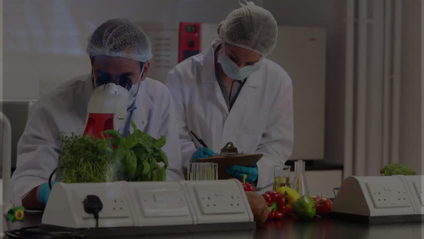 female scientist and male researcher analyzing vegetable samples at food lab, with animated charts. Scientists, laboratory, research, food safety, agricultural, bioengineering, scientific - Powered by Shutterstock - Get 15% off with code: PIKWIZARD15