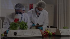female scientist and male researcher analyzing vegetable samples at food lab, with animated charts. Scientists, laboratory, research, food safety, agricultural, bioengineering, scientific - Powered by Shutterstock - Get 15% off with code: PIKWIZARD15