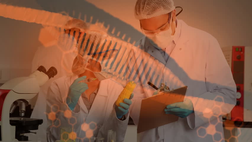 Two scientists injecting corn sample and noting data in biotech lab, displaying DNA helix overlays. Research, innovation, biotechnology, research facility, science, genetic, molecular - Powered by Shutterstock - Get 15% off with code: PIKWIZARD15