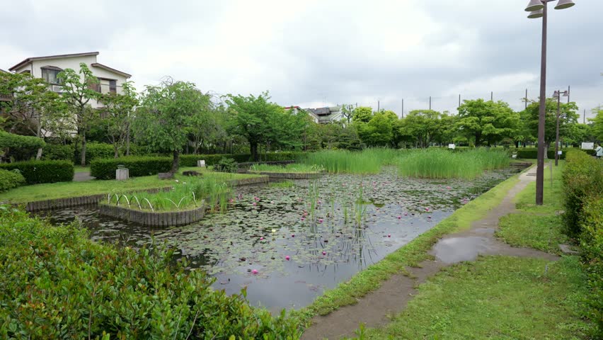 Gyousen Park, Japan Tokyo May 2025