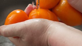 Washing Persimmons Under Running Water - Powered by Shutterstock - Get 15% off with code: PIKWIZARD15
