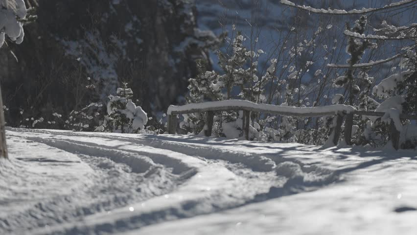 A snowy road winds uphill through a forest with visible tire tracks marking the fresh winter surface. Parallax video.