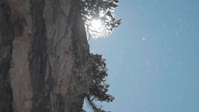 Bright sunbeam filters behind a snowy tree, as it clings to the rocky cliff, catching floating snowflakes in the wintry air. Slow-motion video. - Powered by Shutterstock - Get 15% off with code: PIKWIZARD15