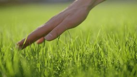 Woman hand gently grazing verdant grass blades, experiencing natural landscape's softness under warm sunlight, connecting with lush meadow environment - Powered by Shutterstock - Get 15% off with code: PIKWIZARD15