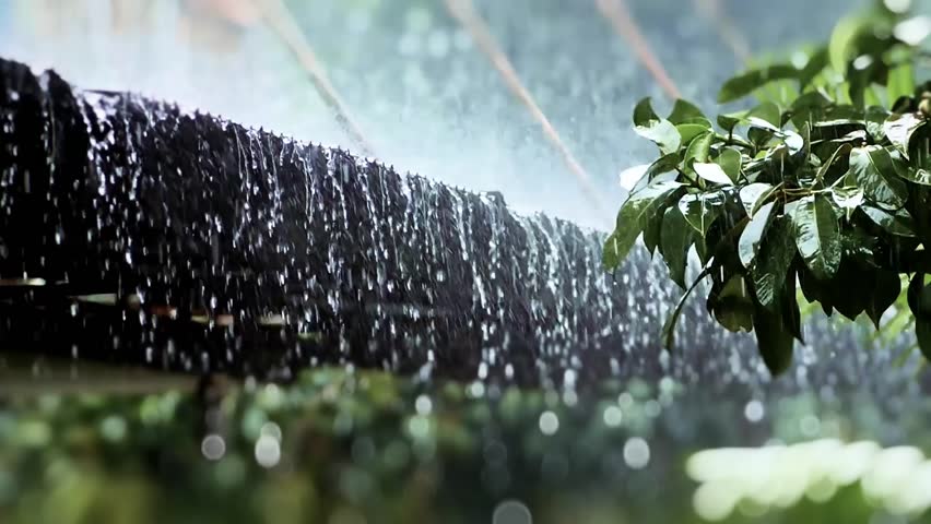 Rainwater Harvesting System: Close-up view of a rainwater harvesting system in action, showcasing water cascading down a specially designed collection structure, with lush greenery in the foreground.