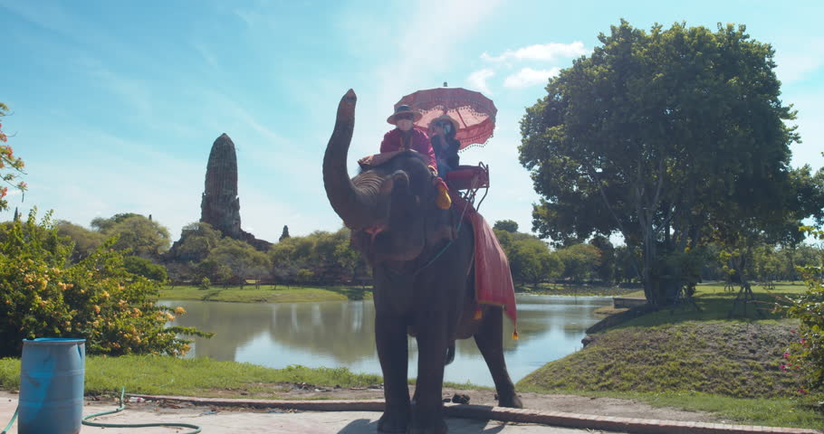 Asian female tourists visit elephant camps and ride elephants in Ayutthaya.
