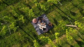drone video of romantic summer picnic in an Italian vineyard. couple enjoys each other’s company on a blanket, surrounded by lush vineyards in Italy. Perfect for love, travel, and lifestyle content - Powered by Shutterstock - Get 15% off with code: PIKWIZARD15