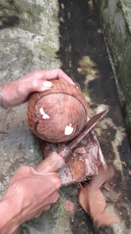 footage of an Asian woman's hand activity in the frame breaking an old coconut with machete to get coconut milk
