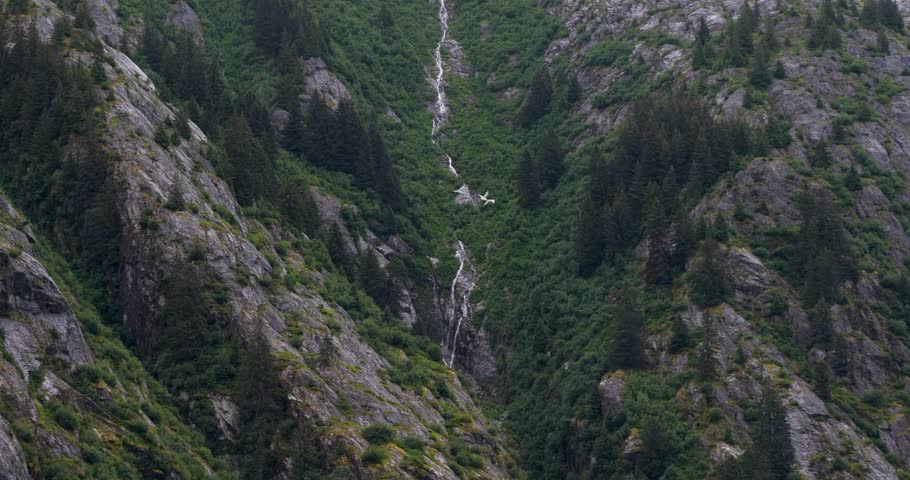 Beautiful landscape in Endicott Arm Fjord, Alaska. Three birds in flight, waterfall and granite mountain cliff in the background.