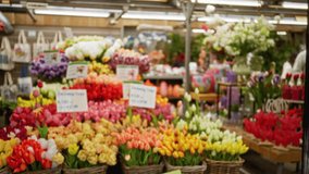 Blurry man in tulip market, netherlands, surrounded by vibrant flowers, bokeh background highlighting colorful blooms with defocused depth, showcasing spring floral beauty. - Powered by Shutterstock - Get 15% off with code: PIKWIZARD15