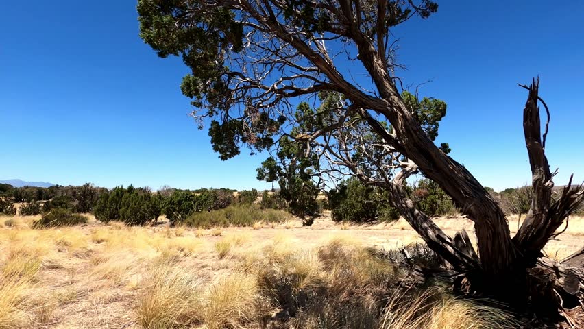 Arizona Driving 2959 Flagstaff Winona