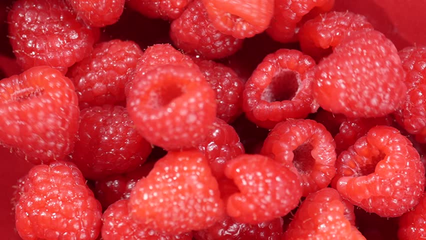 Raspberry berries falling on a red background. - Powered by Shutterstock - Get 15% off with code: PIKWIZARD15
