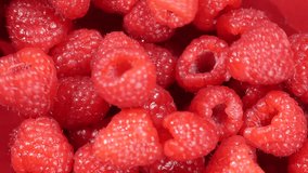 Raspberry berries falling on a red background. - Powered by Shutterstock - Get 15% off with code: PIKWIZARD15