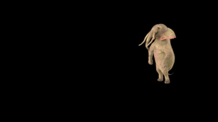 Elephant Dancing 3d rendering, Included in the end of the clip with Luma matte.