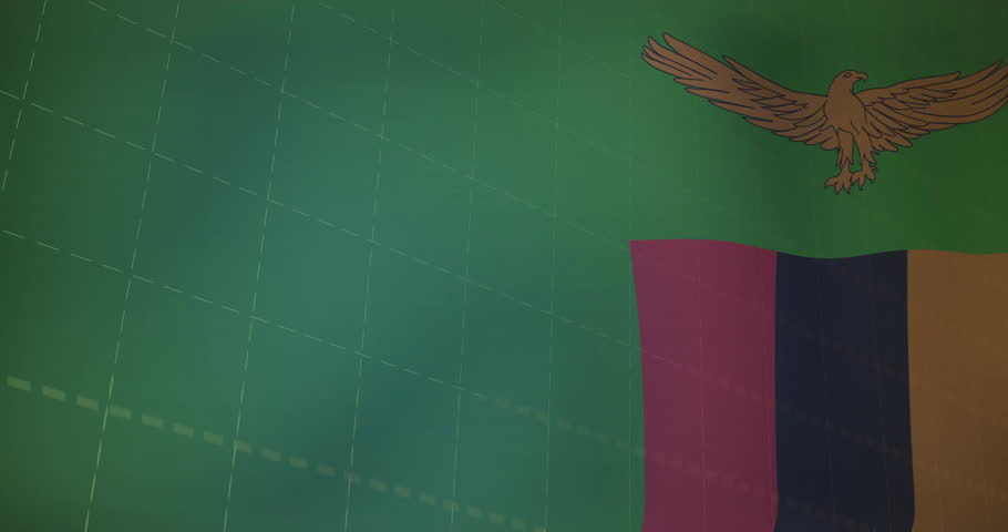Shutterstock Video