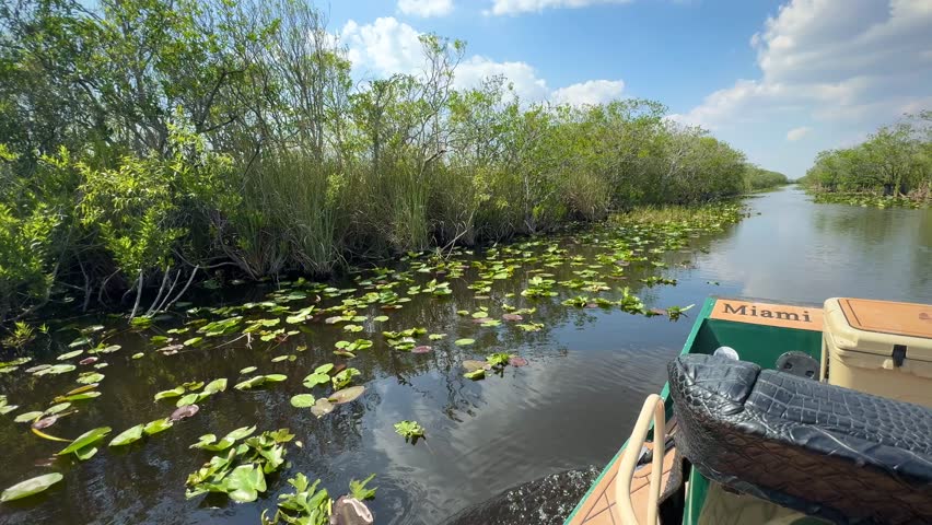 The Airboat Ride On Everglades National Park - Video