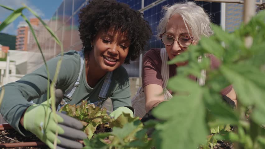 Farmers taking care of plants in slow motion