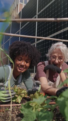 Women planting seedlings in rooftop garden