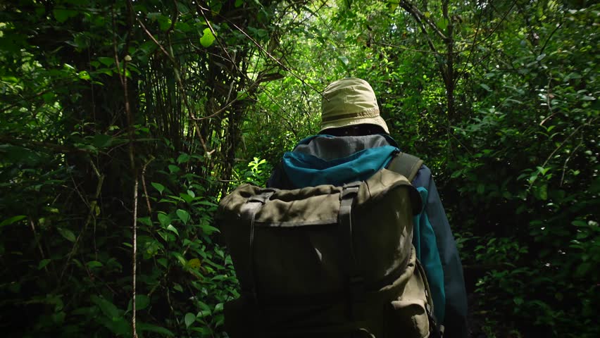 A person wearing trekking gear ventures through a lush and vibrant natural jungle path surrounded by dense greenery. A traveler walks in the forest thicket