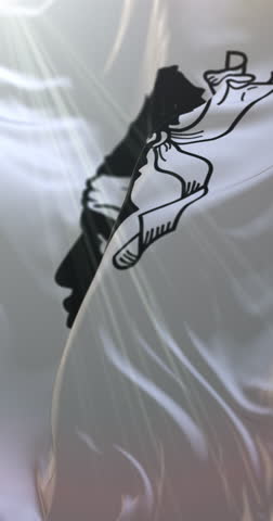 Flag of the region of Corsica, France. Loop. 4K Vertical