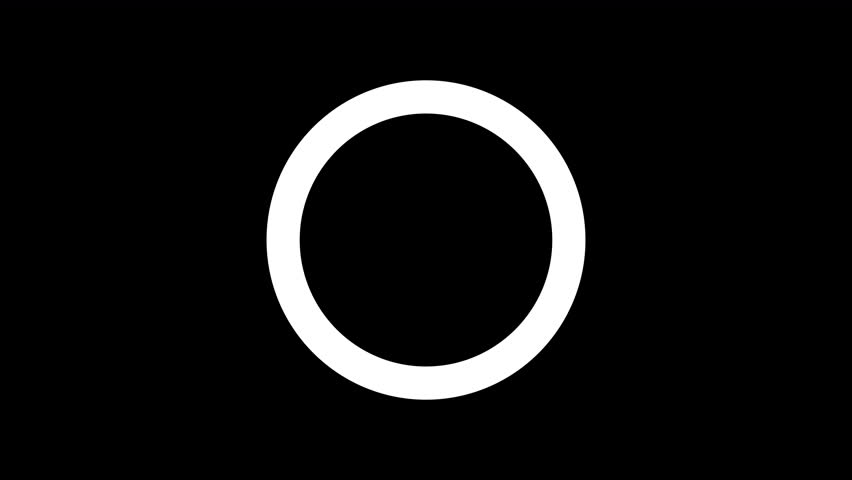 Shutterstock Video