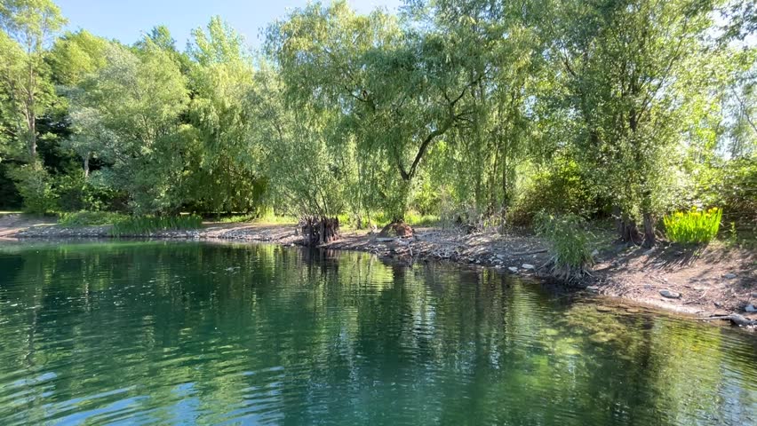 the lakeshore in the nature reserve